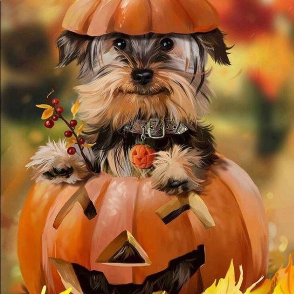 Meet your Posher, Judi - Picture 1 of 4